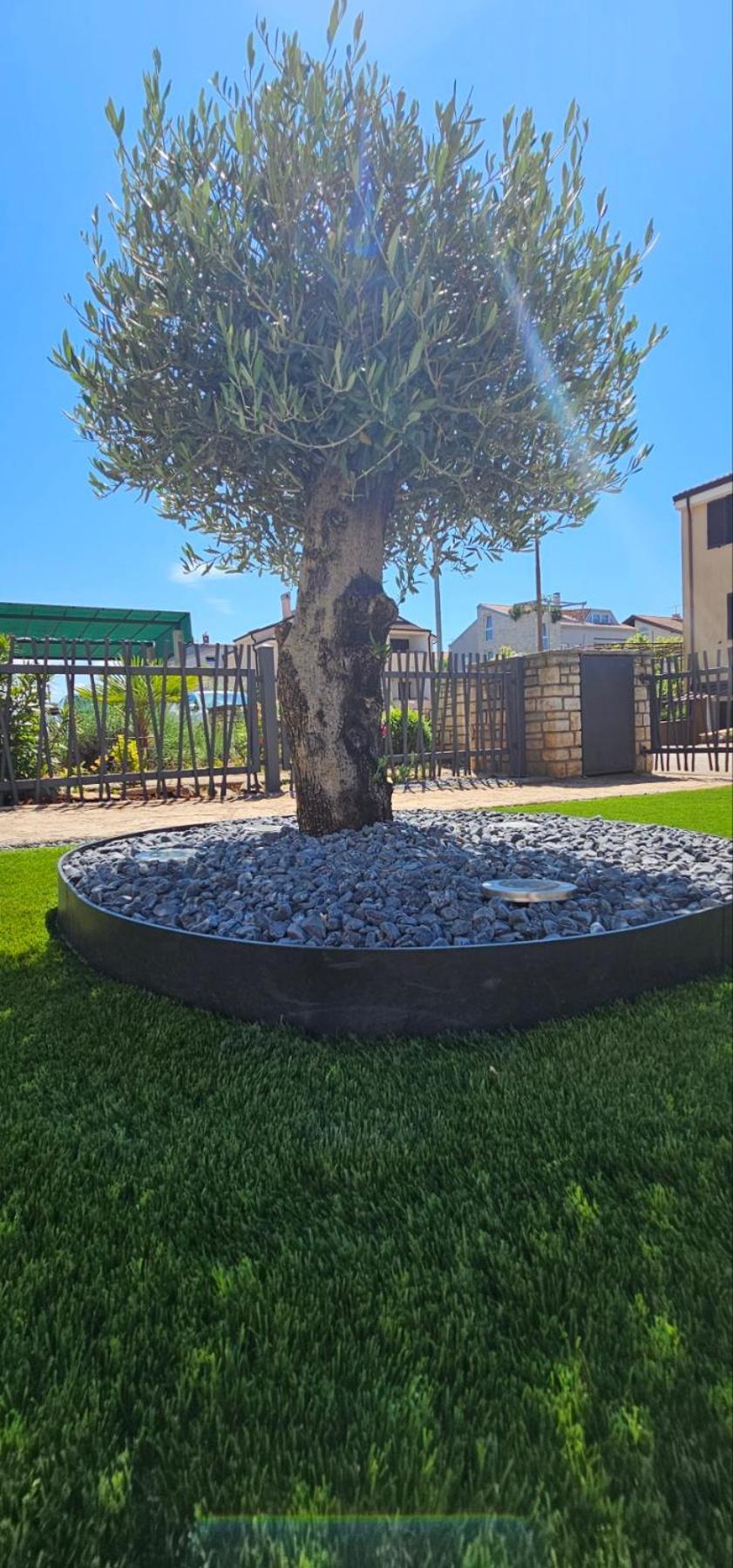 Kadenca Apartment Umag Room photo