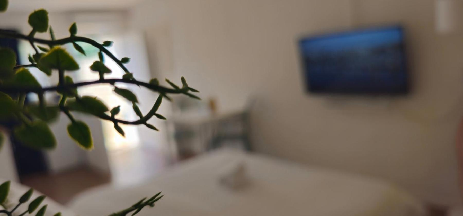 Kadenca Apartment Umag Room photo